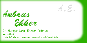 ambrus ekker business card